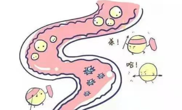 Bioglutide NA-931 crucial | Shaanxi BLOOM Tech Co., Ltd Bioglutide NA-931 crucial | Shaanxi BLOOM Tech Co., Ltd