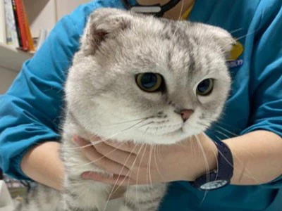 GS-441524 Cost | Shaanxi BLOOM Tech Co., Ltd GS-441524 Cost | Shaanxi BLOOM Tech Co., Ltd