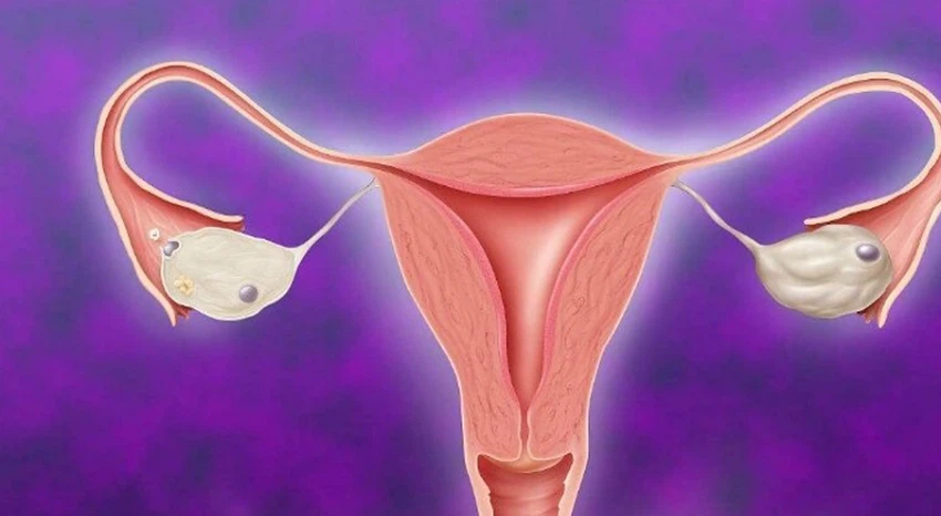 Alarelin Endometriosis With Infertility | Shaanxi BLOOM Tech Co., Ltd Alarelin Endometriosis With Infertility | Shaanxi BLOOM Tech Co., Ltd